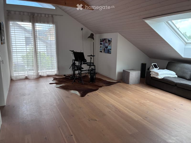 Loft-style room with wooden flooring, skylight windows, a sofa, a drum set, a floor lamp, and a small stool.