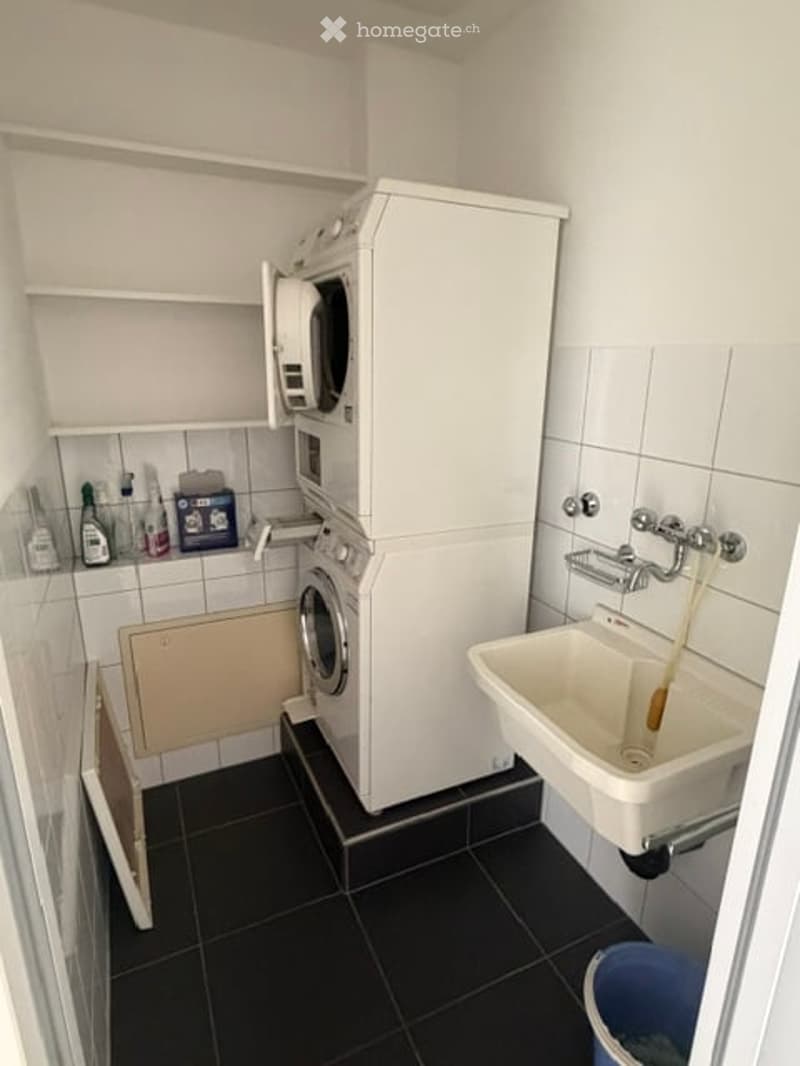 Bathroom with a washing machine, sink, shelves, and cleaning supplies.