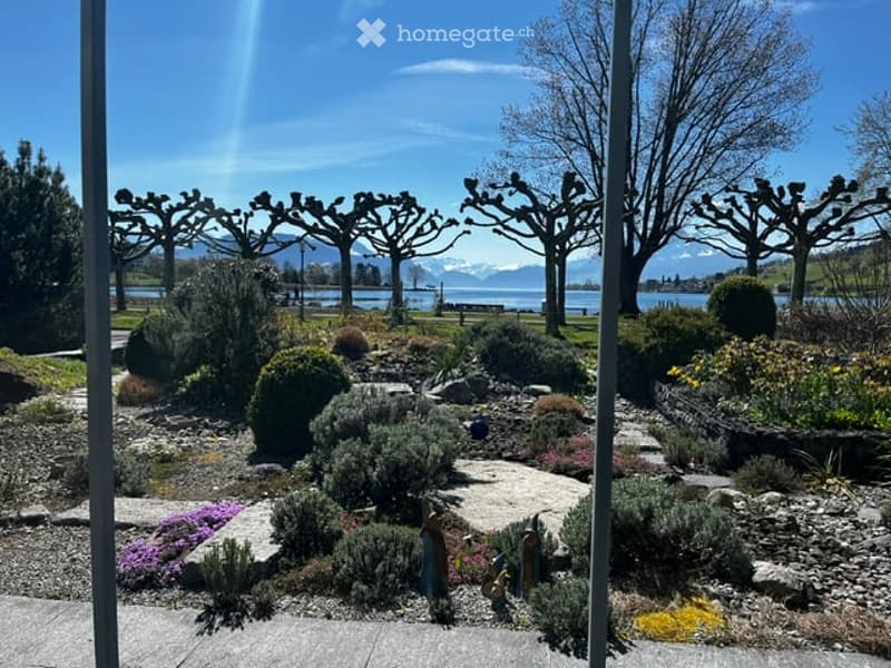 Well-maintained garden with various shrubs, flowers, and trees, overlooking a lake and distant mountains.