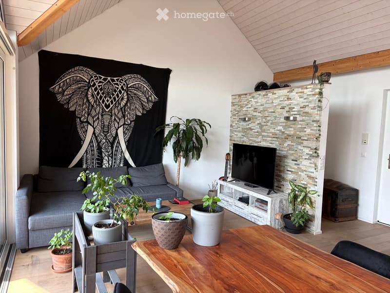 Modern living room with a grey sofa, coffee table, fireplace, TV, and several potted plants.