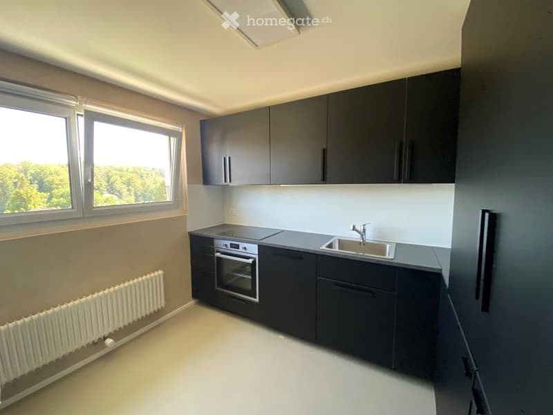 Modern kitchen with dark grey cabinets, stainless steel sink, and built-in oven. Large windows provide natural light.