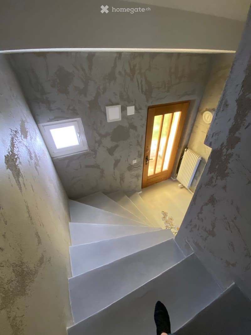Staircase leading up with a wooden door at the end, small window on the left, radiator on the right, and a small plant visible near the door.