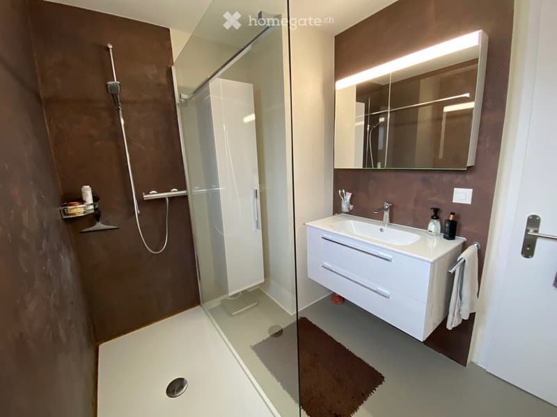 Modern bathroom with a white sink, mirror, and shower area. Features include a built-in cabinet, a towel, and a toothbrush holder.