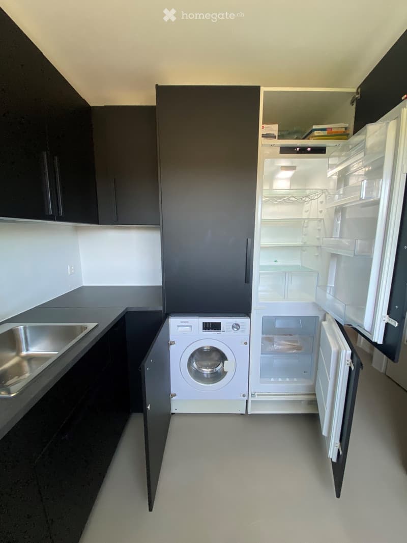 Modern kitchen with dark cabinets, stainless steel sink, open refrigerator, and washing machine.