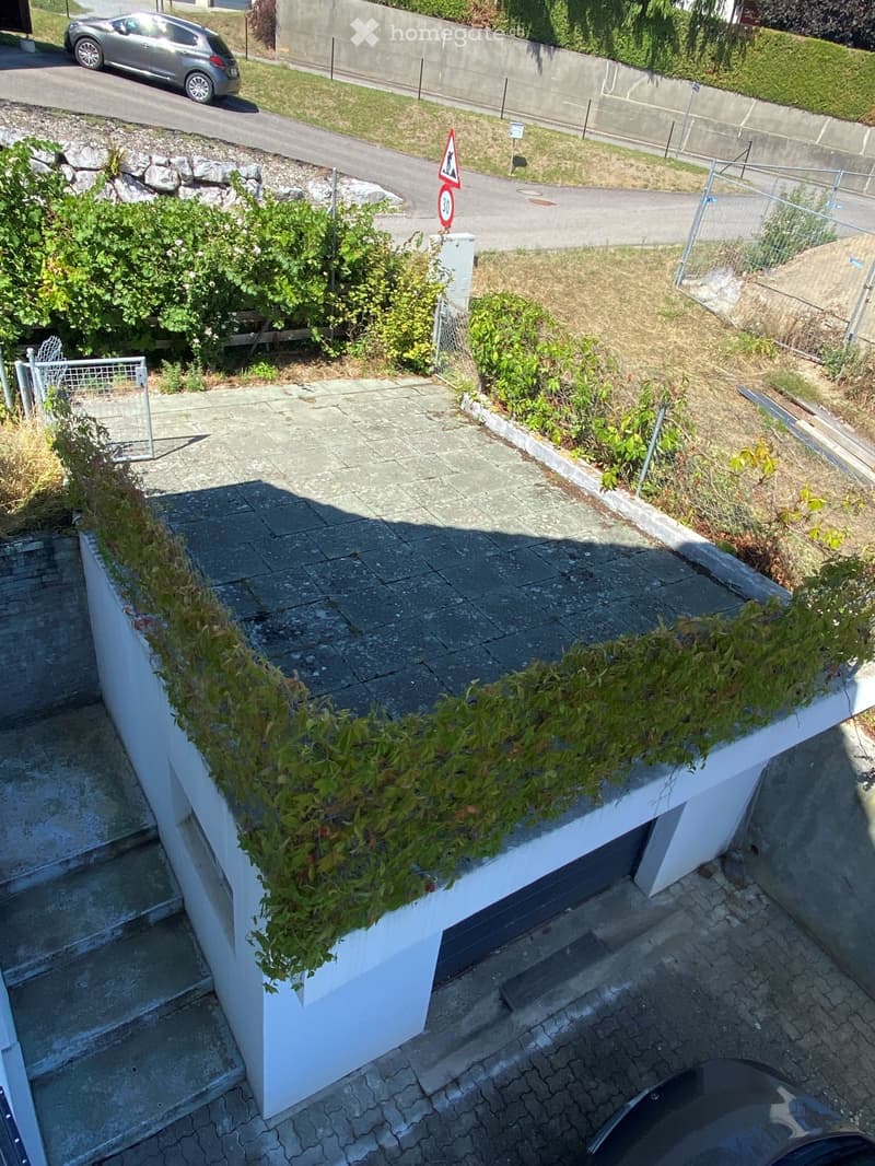 A small, elevated garden area with a concrete pathway, green plants, and a metal fence. A car is parked nearby, and a road sign is visible in the background.
