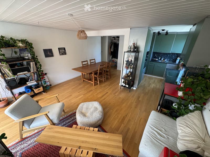 Helle 4.5-Zimmer-Wohnung mit Balkon und schöner Aussicht in Luzern (2)