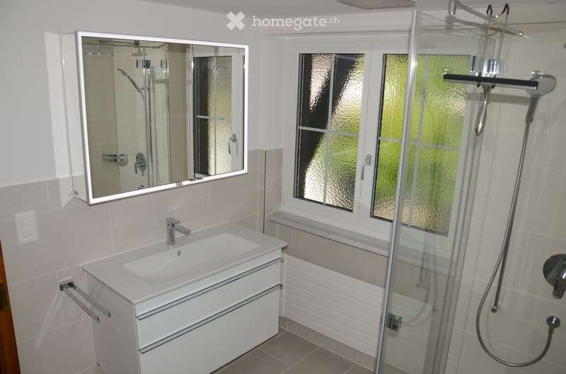 Modern bathroom with a white sink, large mirror, glass shower enclosure, and frosted windows.