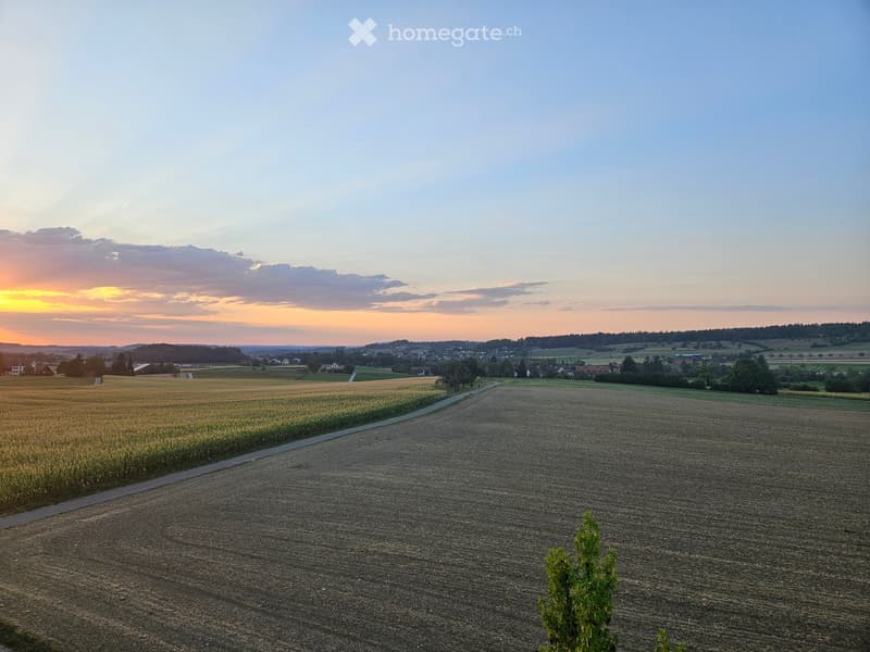 A peaceful rural landscape with fields, a winding road, and a small village in the distance under a sunset sky.