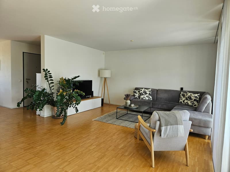 Modern living room with light-colored walls, wooden flooring, grey sectional sofa, coffee table, armchair, TV, floor lamp, and a large plant in a pot.