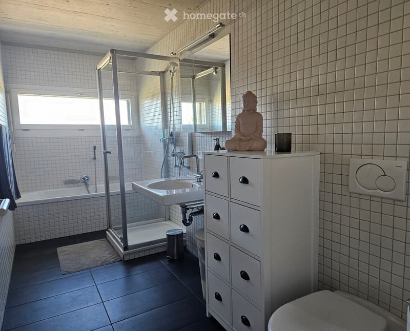 Modern bathroom with a bathtub, sink, toilet, shower, storage cabinet, mirror, and a decorative statue on top of the cabinet.