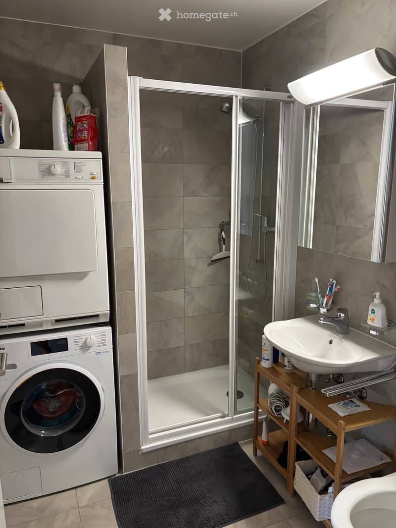 Modern bathroom with a washing machine, sink, toilet, and a glass-enclosed shower. Wooden shelf holds toiletries and cleaning supplies.