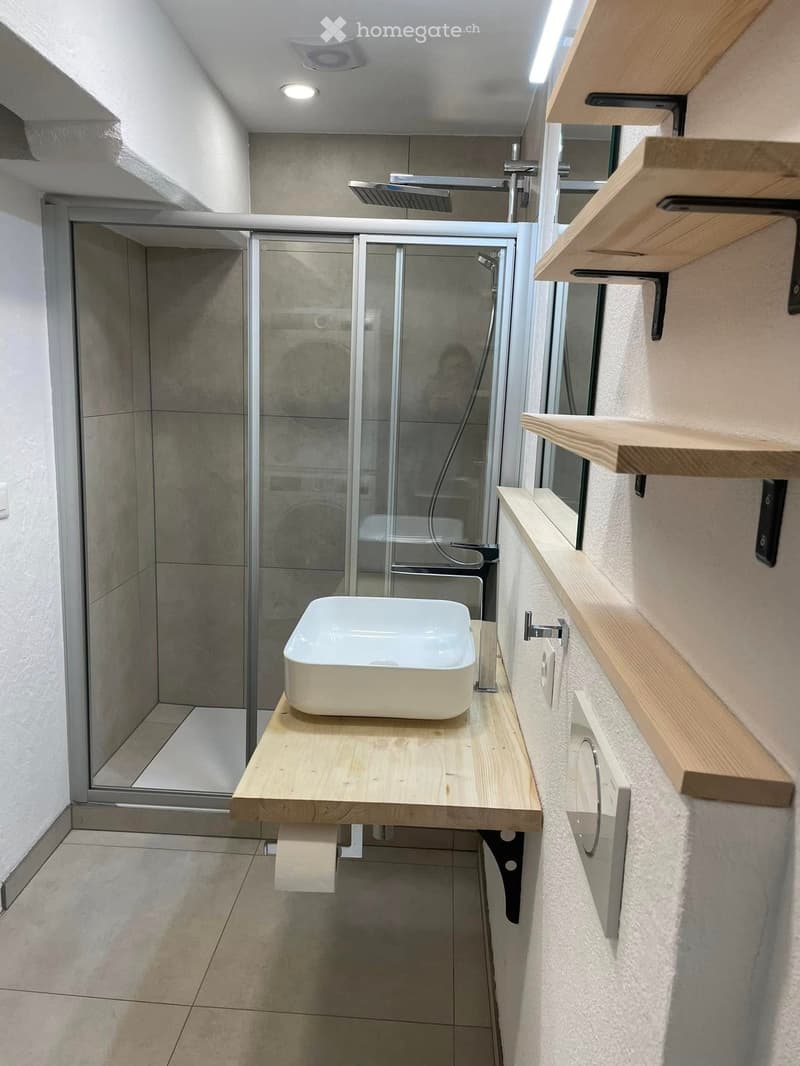 Modern bathroom with a white sink on a wooden shelf, a glass-enclosed shower, and wooden shelves on the wall.