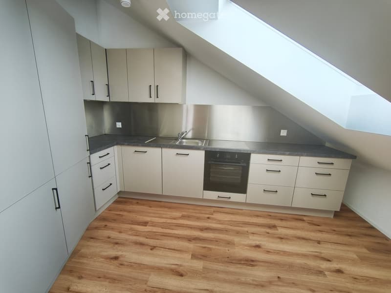 Modern kitchen with white cabinets, stainless steel sink, and dark countertop, featuring wooden flooring and a skylight window.
