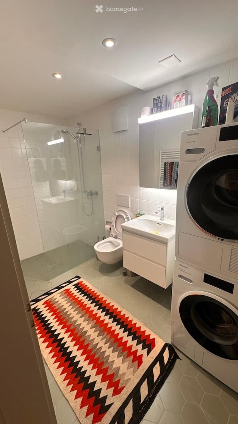 Modern bathroom with a glass-enclosed shower, toilet, sink, and a private washing machine. Features a colorful geometric rug and built-in storage.