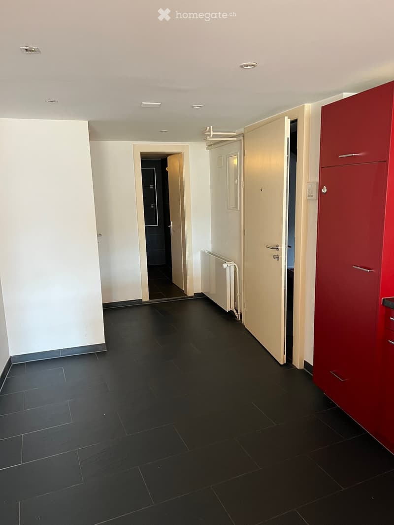 Empty hallway with dark tiled flooring, white walls, and several doors leading to other rooms. A red cabinet is visible on the right side.