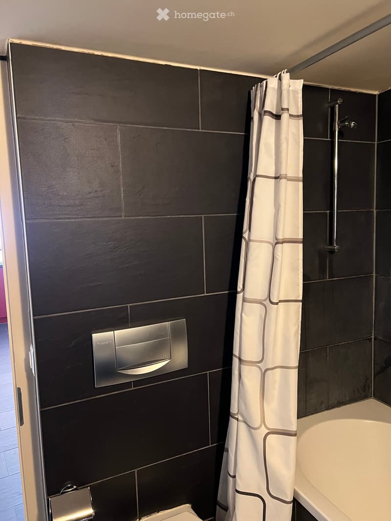 Modern bathroom with dark tiled walls, a bathtub, toilet, shower curtain, and a chrome faucet.