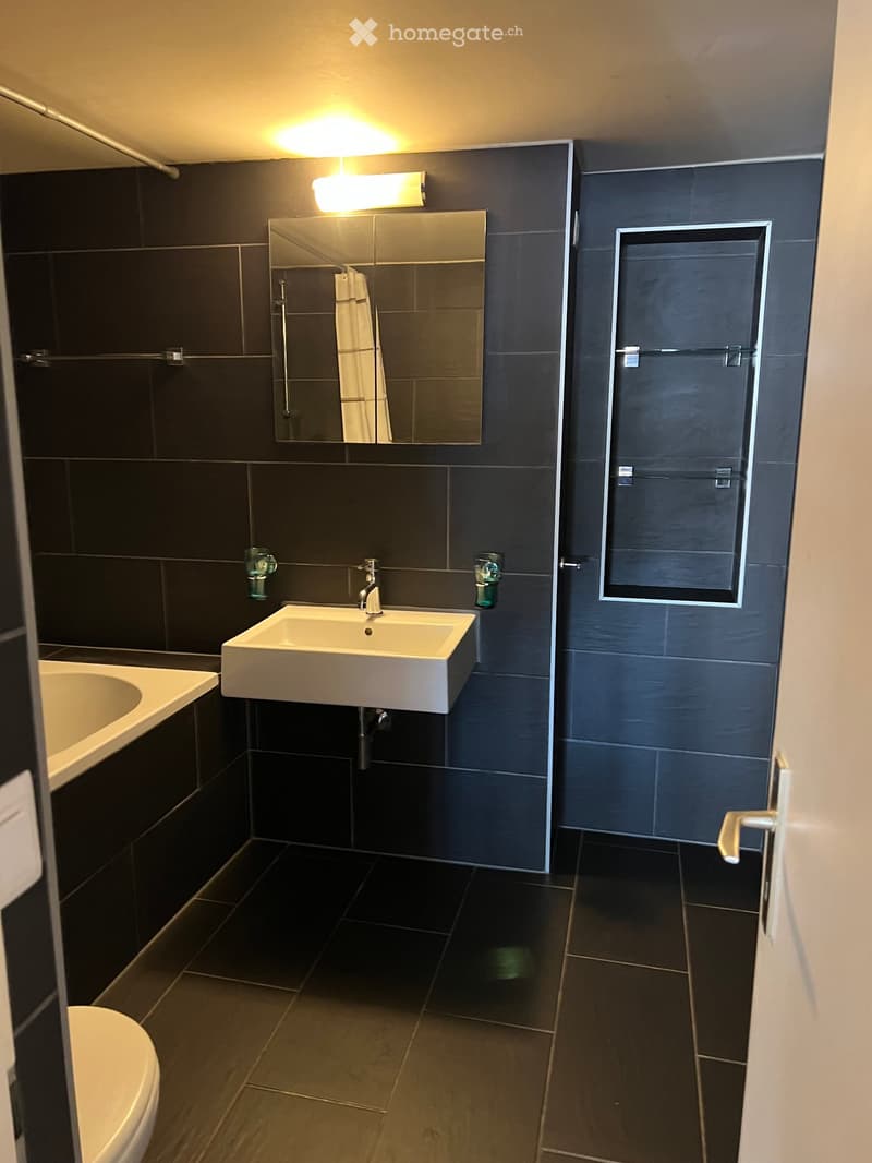 Modern bathroom with dark tiled walls and floor, white sink, mirror, bathtub, and toilet.