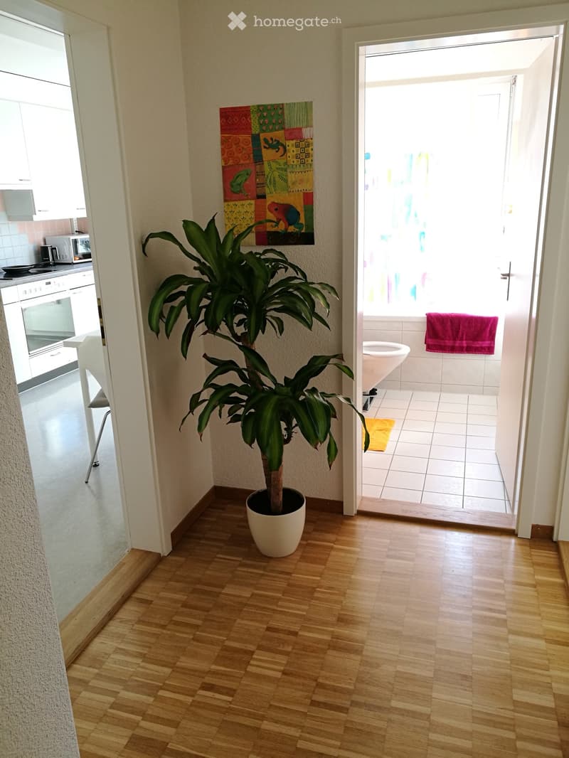 A hallway with wooden flooring, a large potted plant, and an open doorway leading to a bathroom with white tiles and a sink.