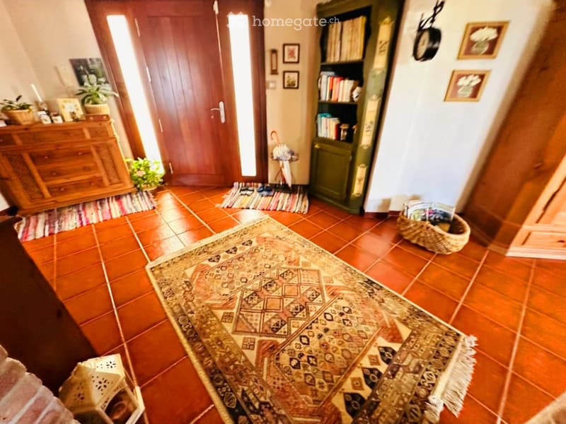 Hallway with terracotta tiles, a large patterned rug, a green bookcase, a wicker basket, and a small plant on a wooden cabinet.