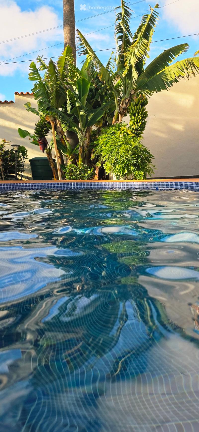 Traumvilla mit Pool und Meerblick in La Matanza de Acentejo, Teneriffa (47)