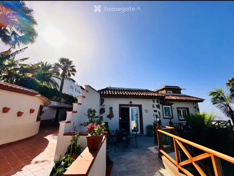 Courtyard with tiled flooring, wooden railing, outdoor furniture, potted plants, and surrounding palm trees.