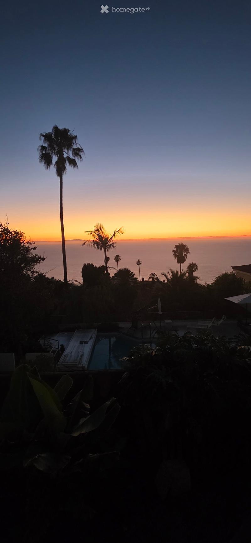 Outdoor area with a swimming pool, surrounded by palm trees, overlooking the ocean at sunset.