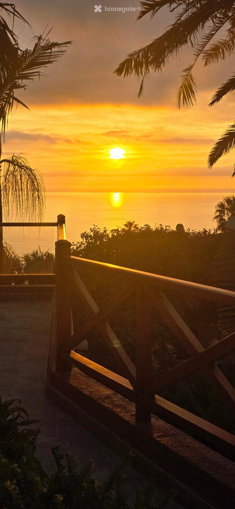 Balcony overlooking the ocean at sunset, with wooden railing and palm trees in the foreground.