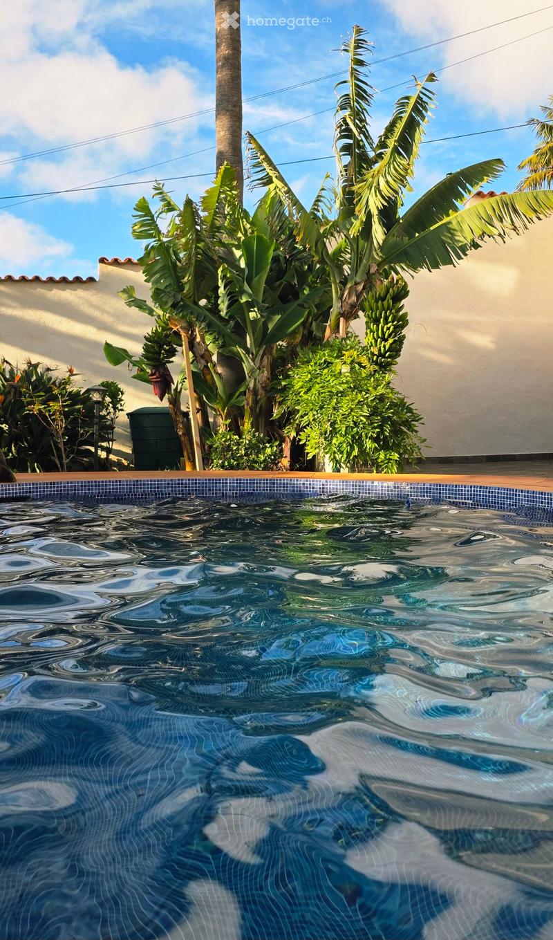 Traumvilla mit Pool und Meerblick in La Matanza de Acentejo, Teneriffa (48)