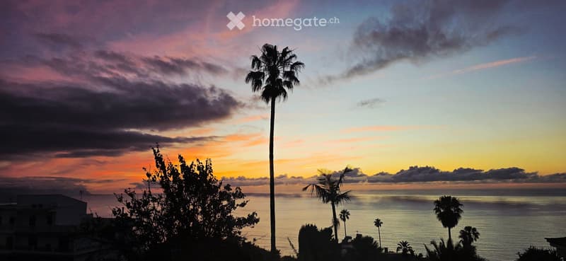 A scenic view of the ocean at sunset, with palm trees and a distant building silhouette.