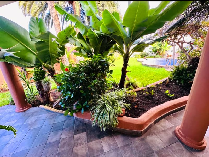 A lush garden area with banana trees, various tropical plants, and a well-maintained lawn, featuring a tiled patio and a swimming pool in the background.
