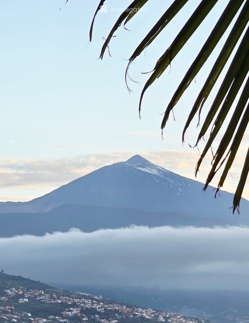 A scenic view of a snow-capped mountain peak with a town nestled in the valley below, partially obscured by clouds. Palm leaves frame the foreground.
