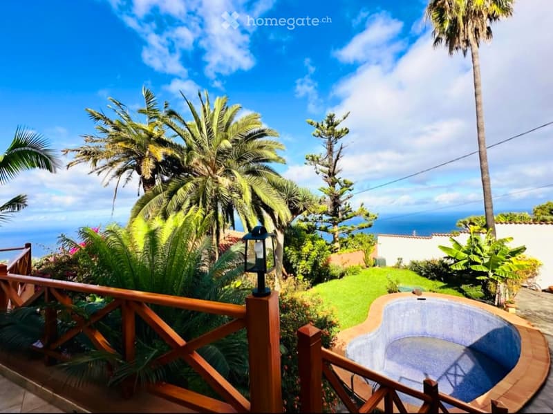 A lush garden area with a swimming pool, surrounded by palm trees and greenery, overlooking the ocean.