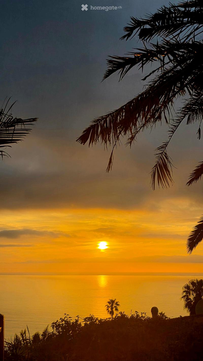A serene outdoor view at sunset, featuring a calm sea, palm trees, and a distant horizon.