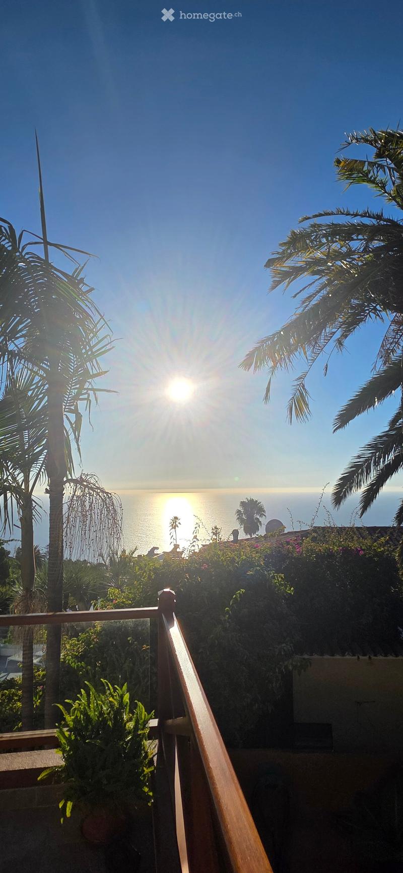 Balcony overlooking the ocean with palm trees and lush greenery, wooden railing, and a view of the setting sun.