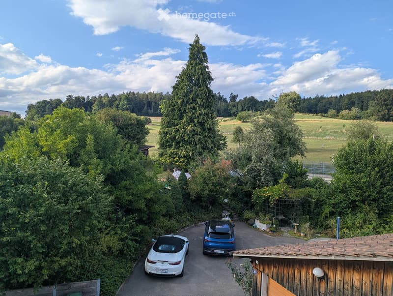 A driveway with two parked cars, surrounded by lush greenery and trees, with a wooden shed on the right and a rural landscape in the background.