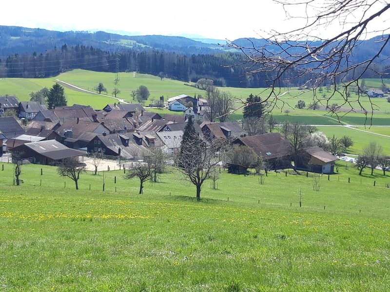 A picturesque rural village with traditional houses, green fields, and a backdrop of hills and trees.
