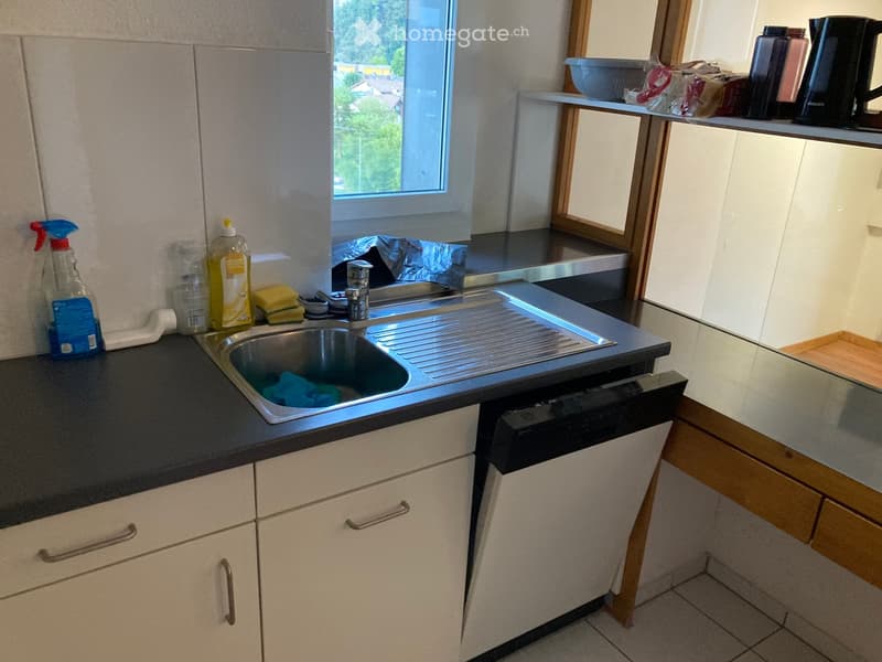 Modern kitchen with white cabinets, black countertop, stainless steel sink, and dishwasher. Cleaning supplies and a window with a view are visible.
