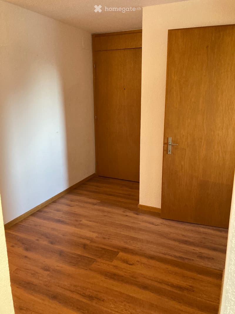 Empty hallway with wooden flooring and two closed wooden doors.