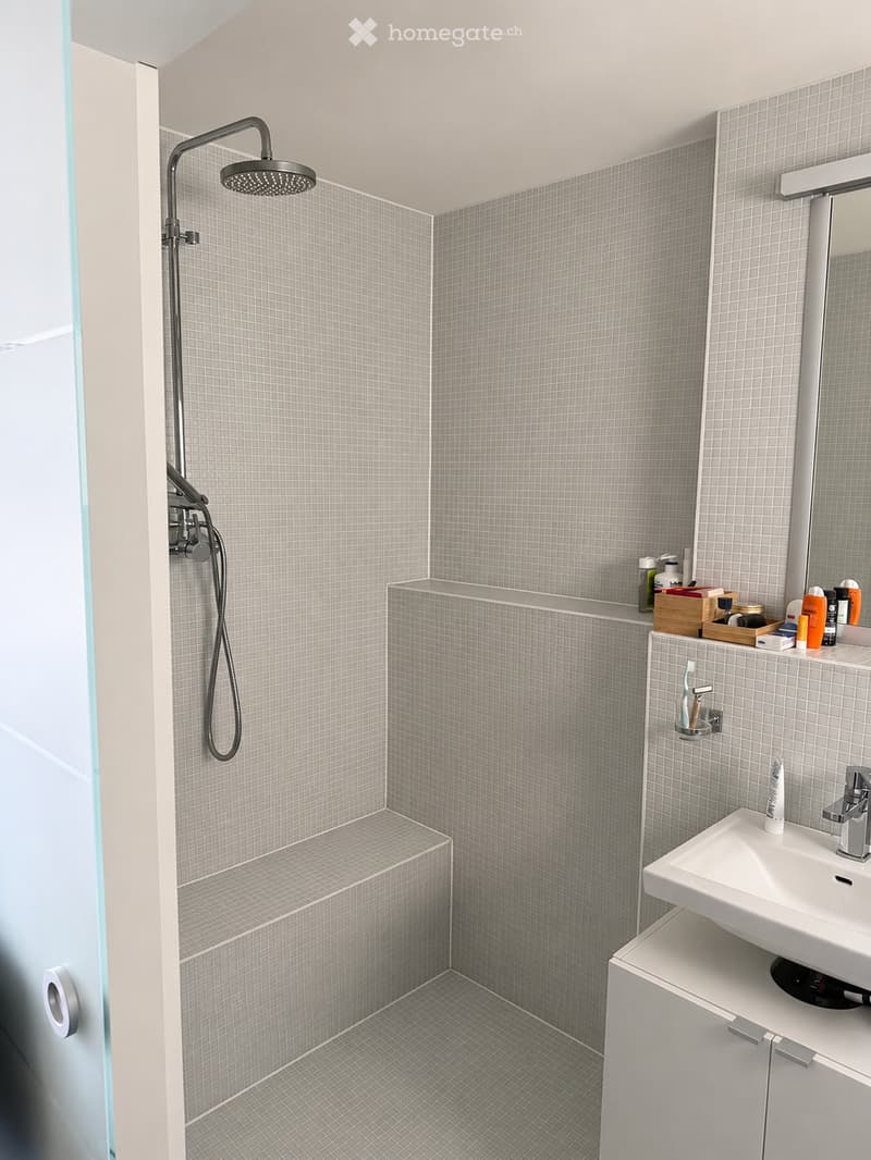 Modern bathroom with grey tiled walls and floor, a white sink with a chrome faucet, a showerhead, a toothbrush holder, and a small cabinet with toiletries.