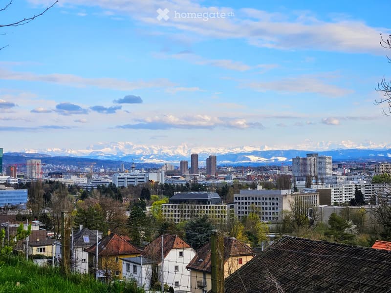 Panoramic cityscape with a mix of residential and commercial buildings, surrounded by trees and distant snow-capped mountains under a clear blue sky.
