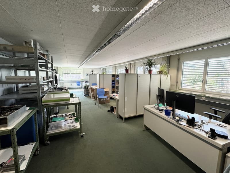 empty office with desks, chairs, cabinets, shelves, and plants
