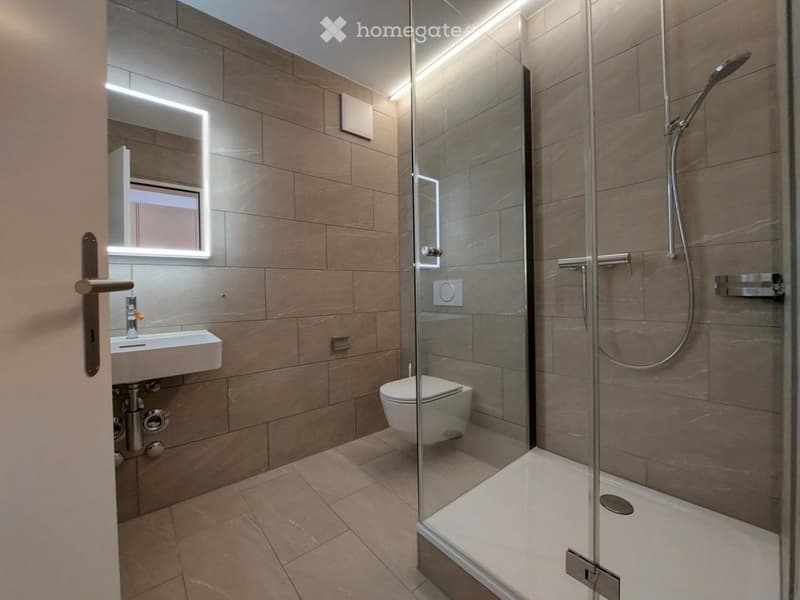 Modern bathroom with a glass-enclosed shower, a toilet, a sink with a mirror, and sleek tile walls.