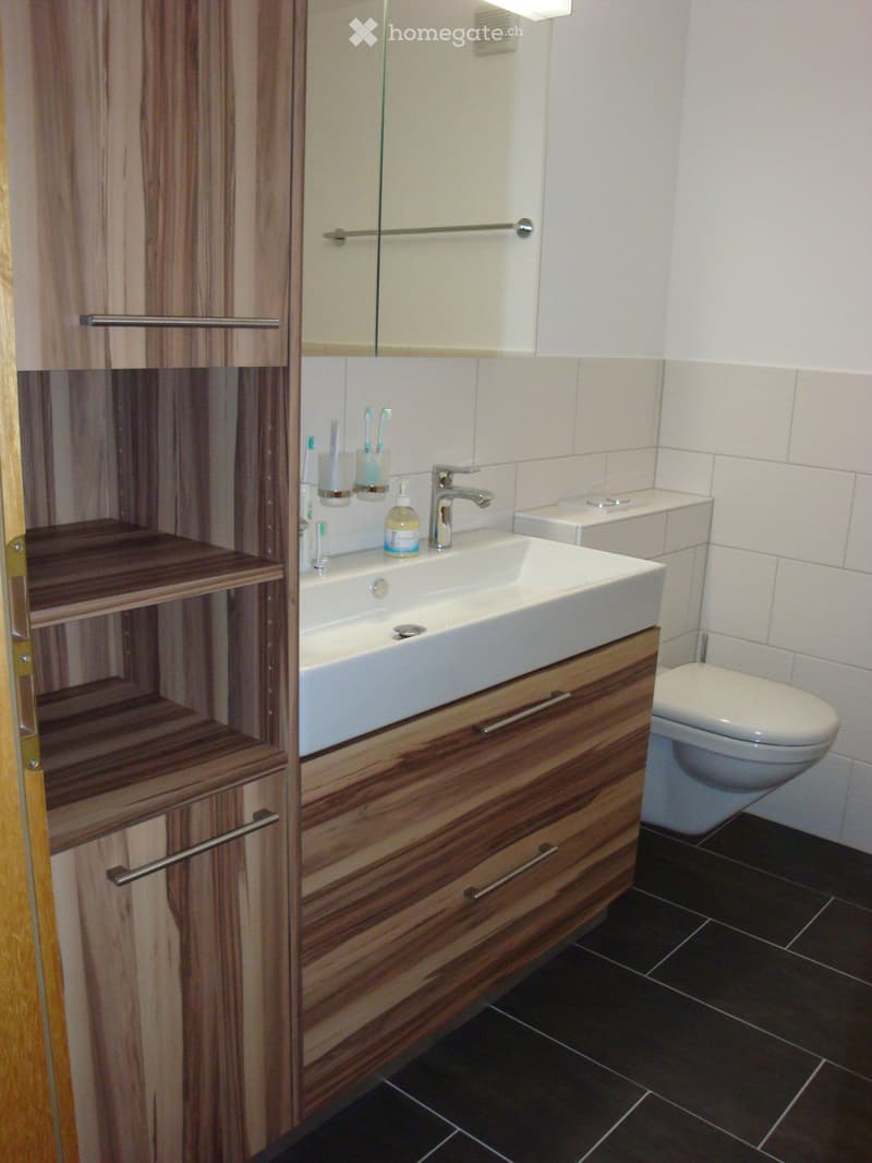 Modern bathroom with a white sink, chrome faucet, toothbrush holders, a toilet, and a wooden cabinet with mirrored doors.