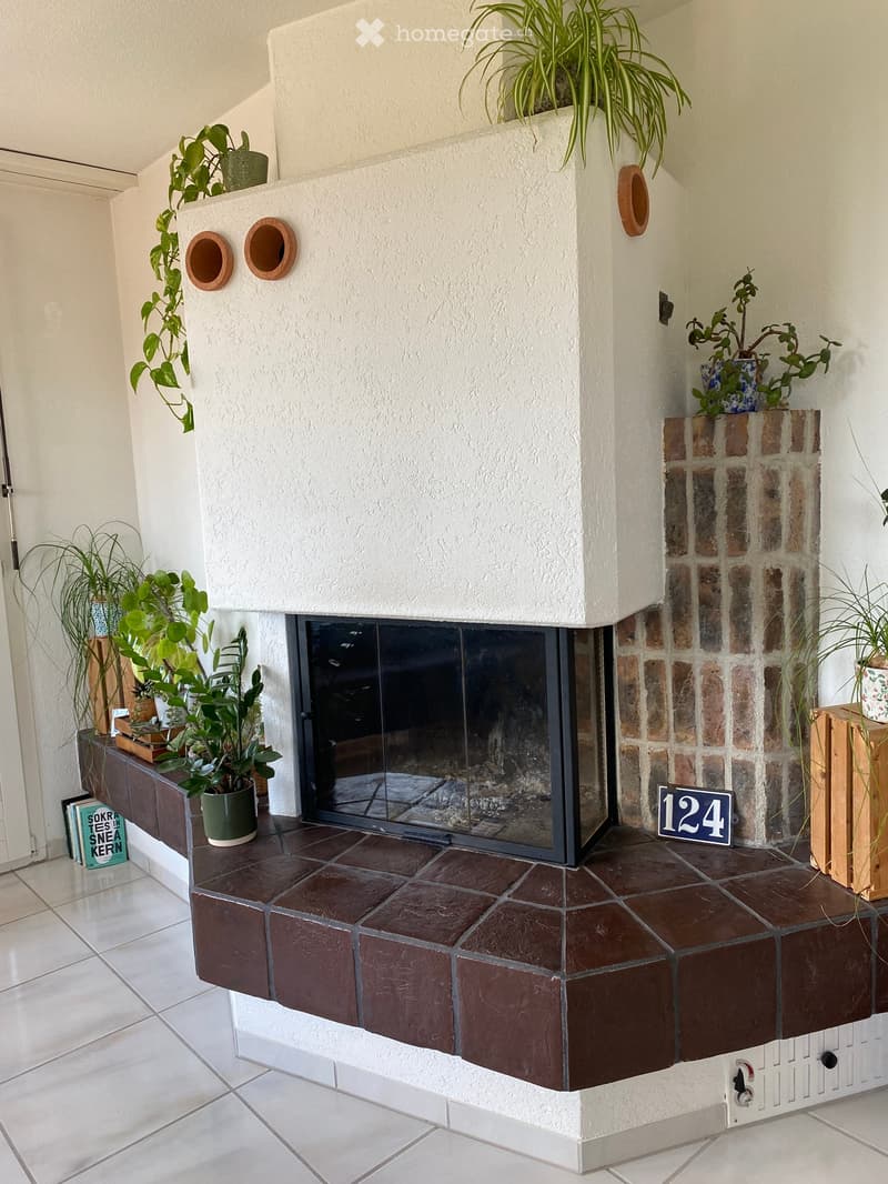 Fireplace with glass enclosure, surrounded by potted plants and a small table with books.