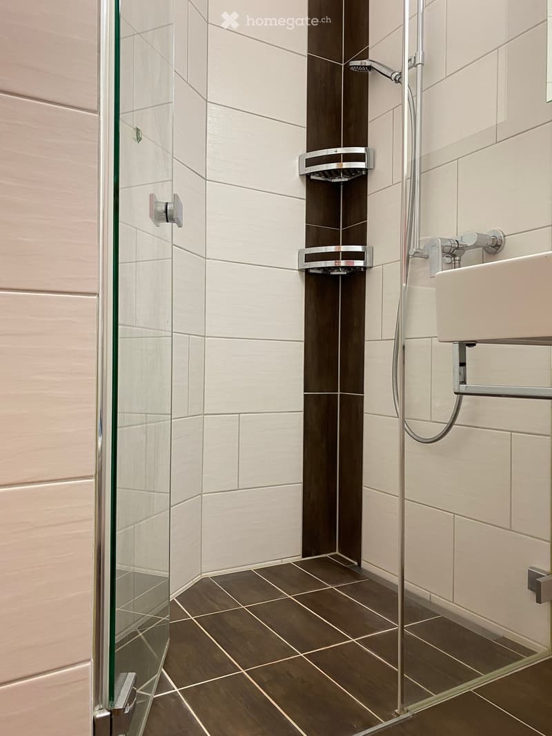 Modern bathroom with a glass-enclosed shower, white tiles, and a dark brown floor. Includes a sink with a chrome faucet and a showerhead with a handheld sprayer.