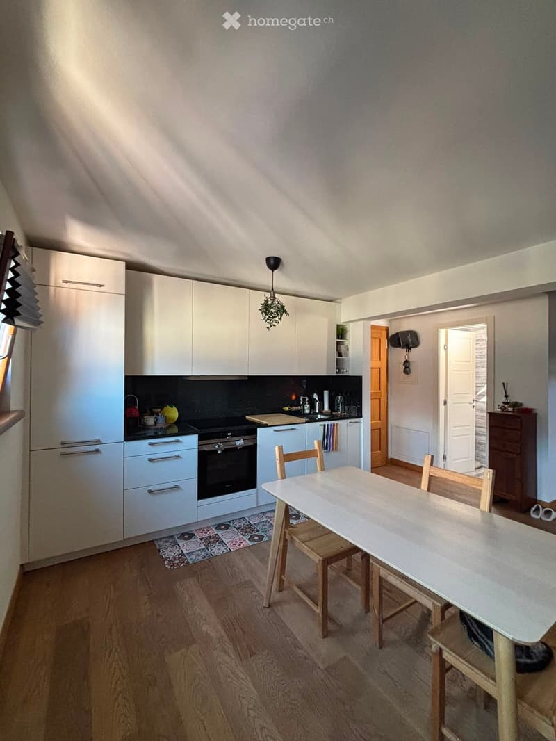 A modern kitchen with white cabinets, a black countertop, and a dining area with a table and chairs. The kitchen features a refrigerator, oven, sink, and various small appliances. A small plant hangs from the ceiling, and a colorful rug is placed on the f