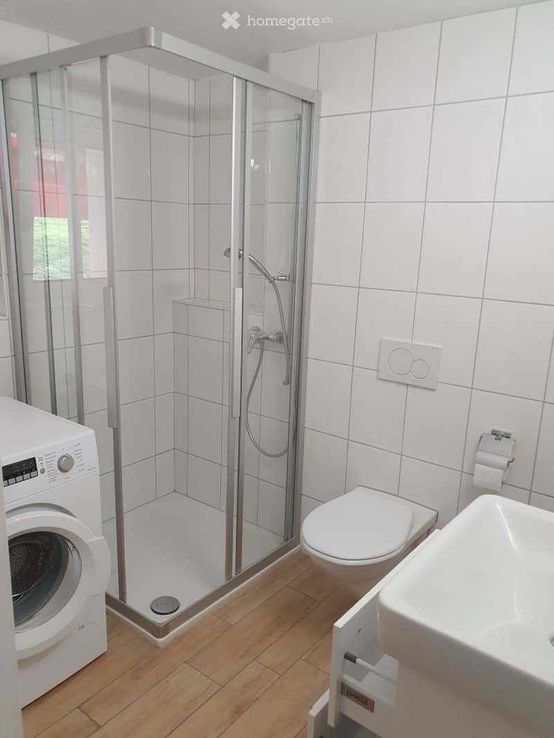 modern shower stall, toilet, sink, washing machine, wooden floor
