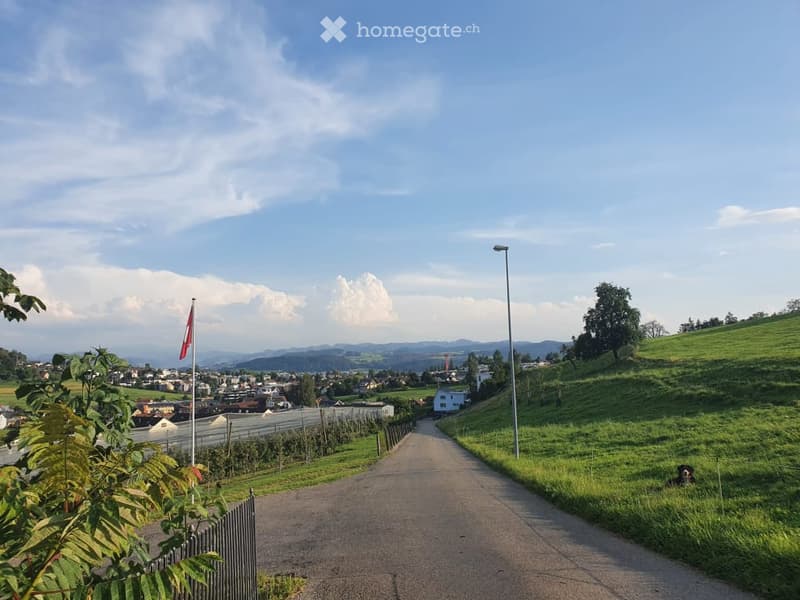 Long paved path through green lawn, single flagpole, a city visible in the distance.