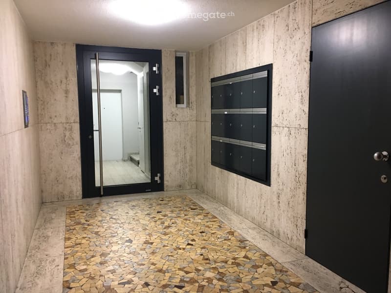 Modern hallway with beige stone walls, mosaic tile floor, black mailboxes, and a glass door leading to another area.