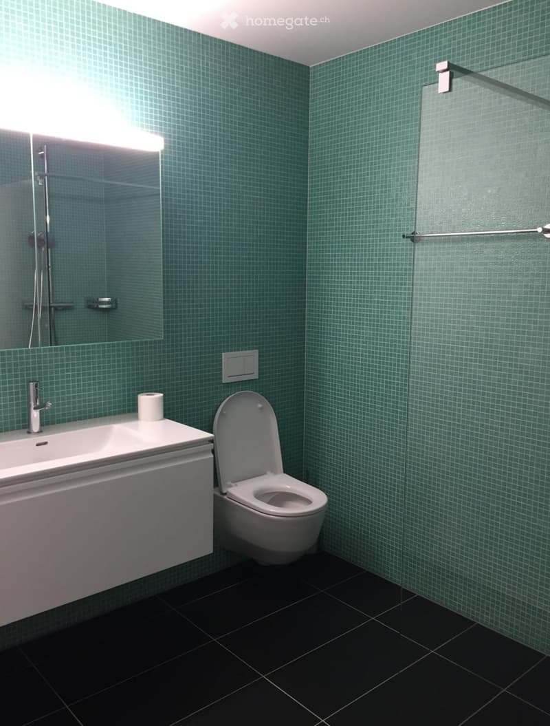 Modern bathroom with teal tiled walls, black tiled floor, white sink with chrome faucet, toilet, and a glass shower enclosure.